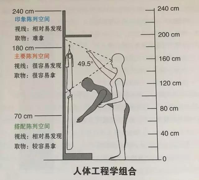 新图模特衣架