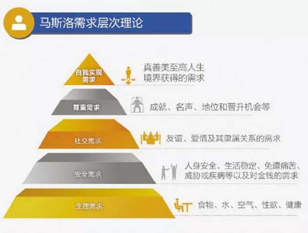 新图模特衣架